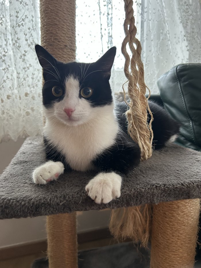 Neptun 250812-233415