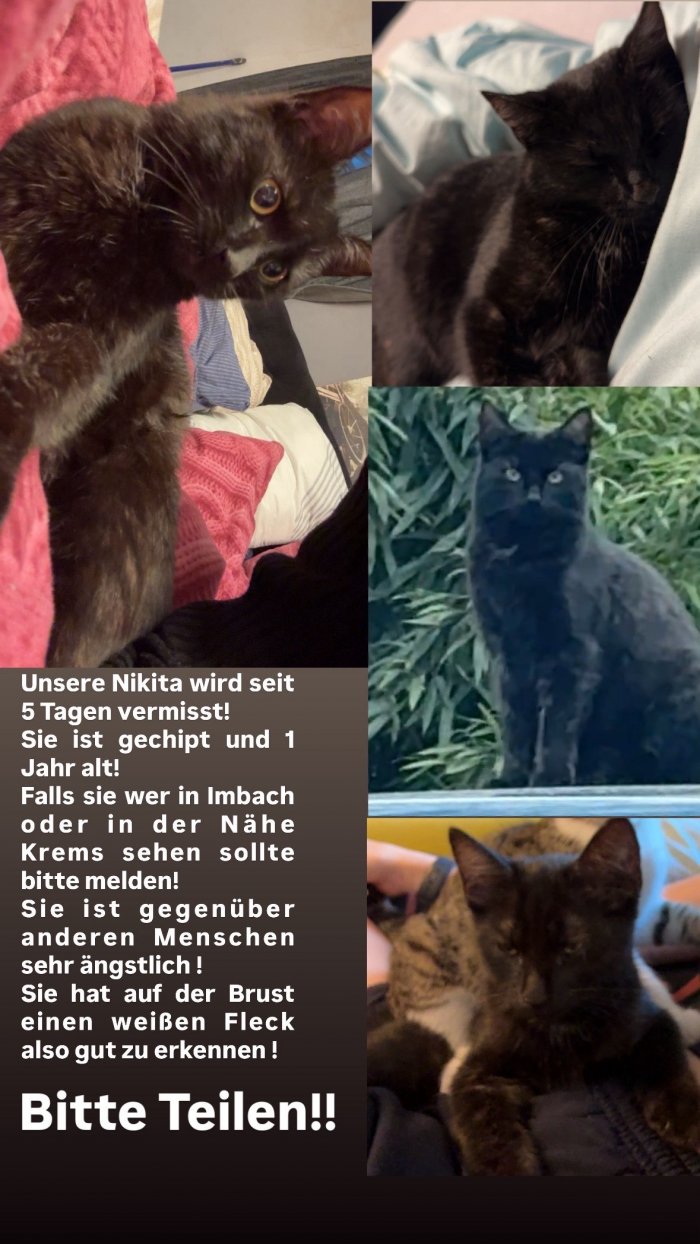 Nikita  260115-151935