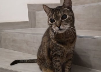 Nina 250501-123429