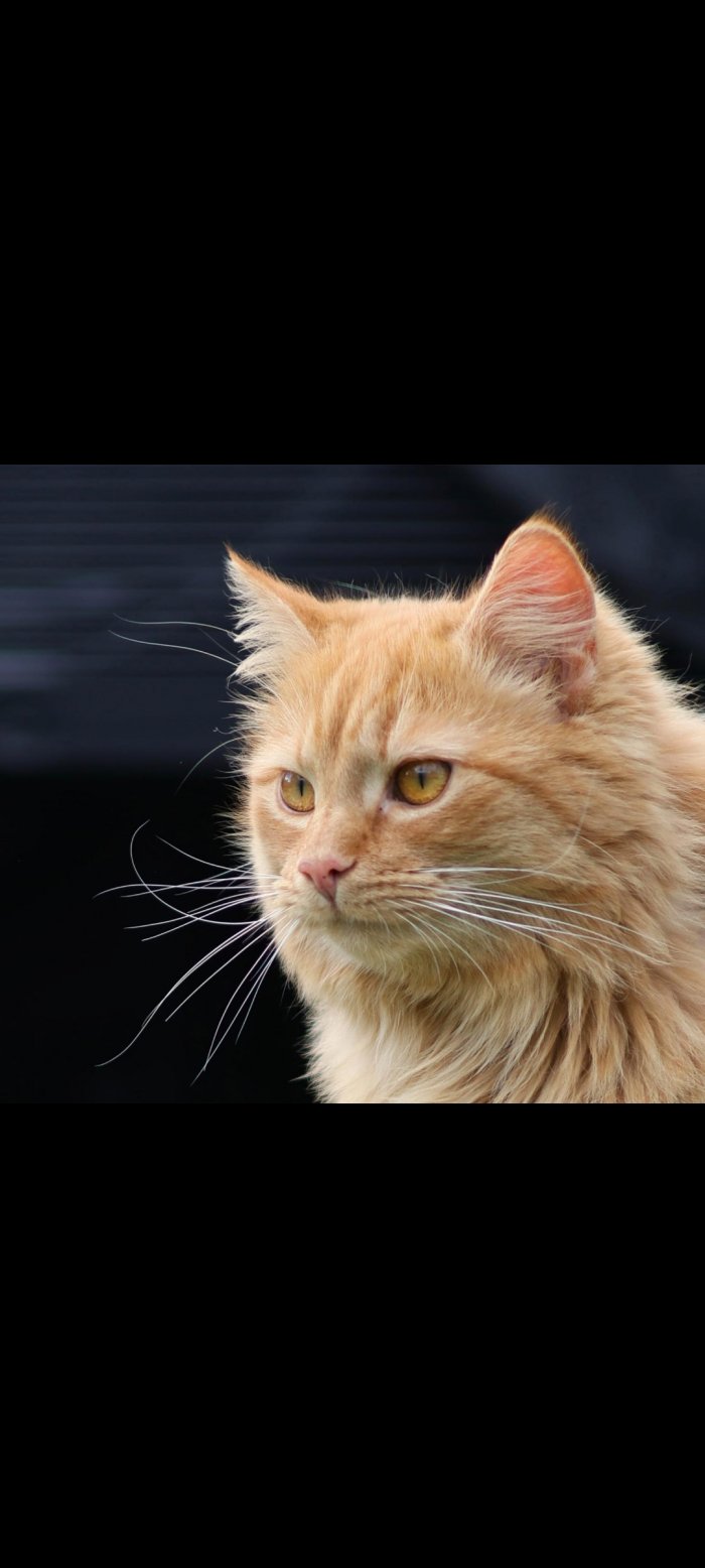 Norris 260412-222355