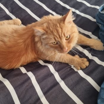 Norris 260412-222355