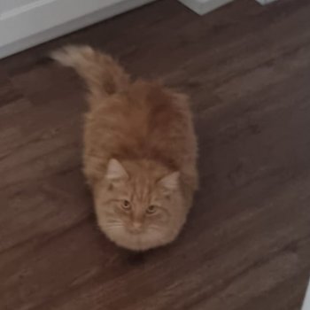 Norris 260412-222355