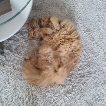 Norris 260412-222355