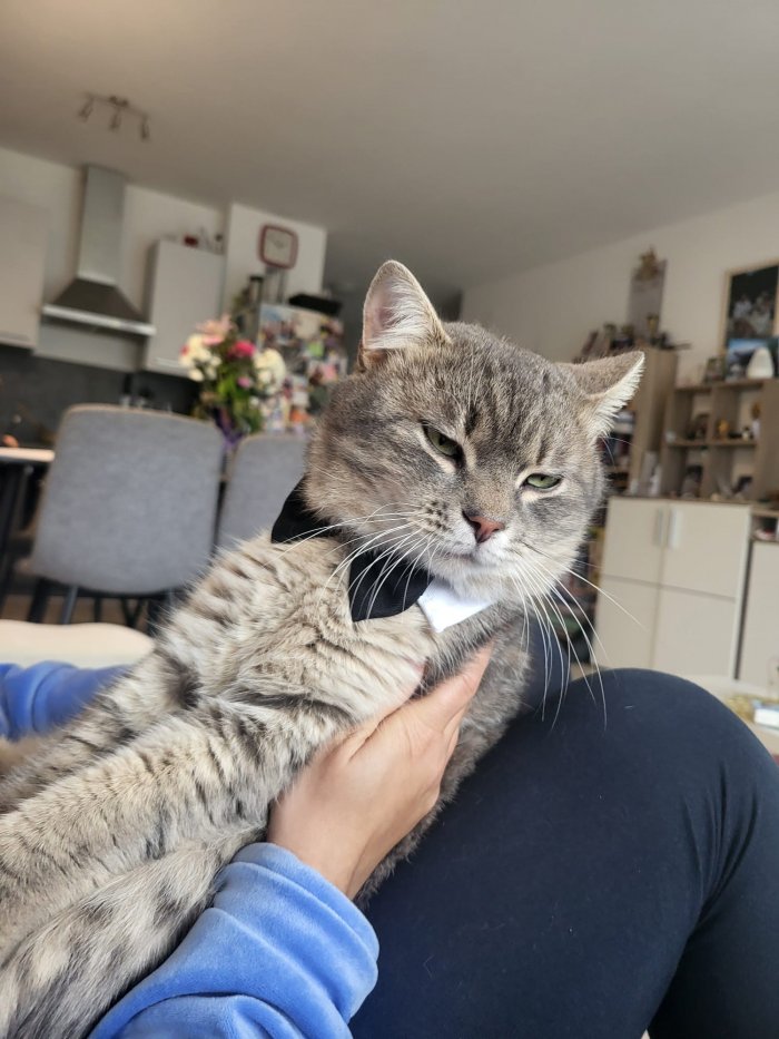 Oblix(obelix) 260322-130845