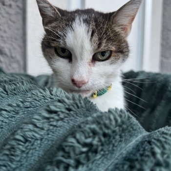 Ofelia 251009-205240