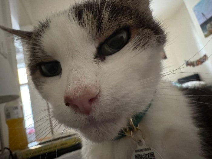 Ofelia 251009-205240