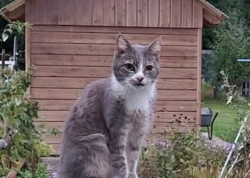 Olivia 251018-072512