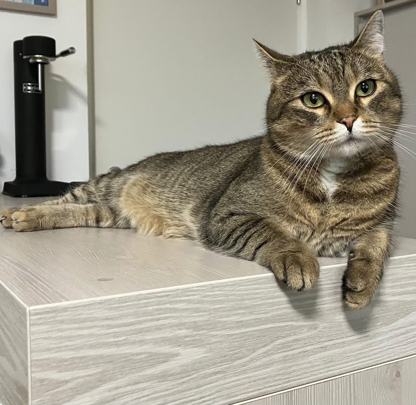 Oskar 250730-080043