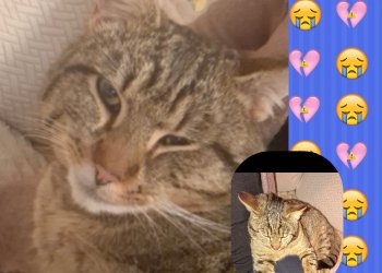 Pablo  260419-151847