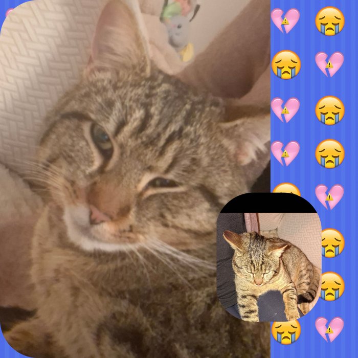 Pablo  260419-151847