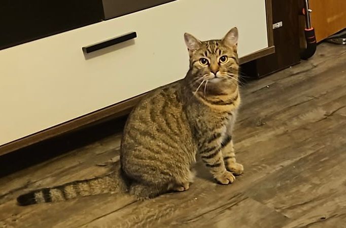 Paloma 260214-210854