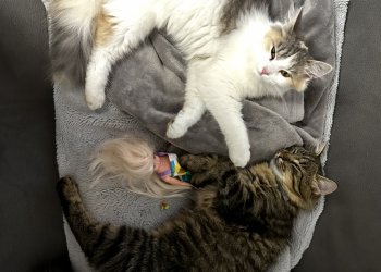 Paul und Mia 260226-191306