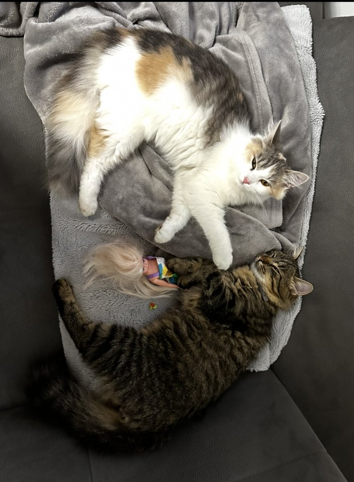 Paul und Mia 260226-191306