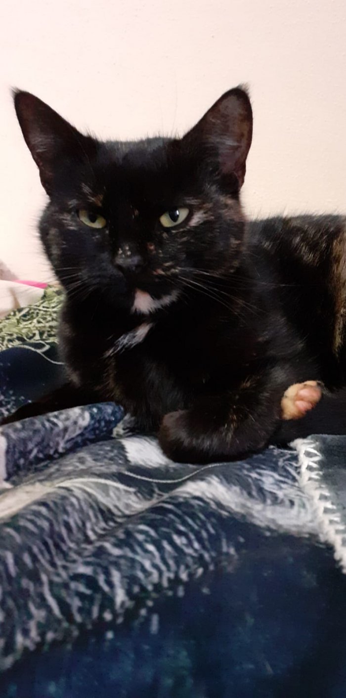 Peanut  251221-074654