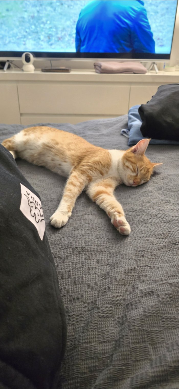 Pedro  260124-233008