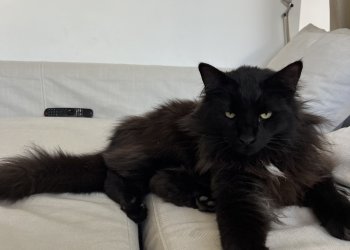 Philemon  260302-201251