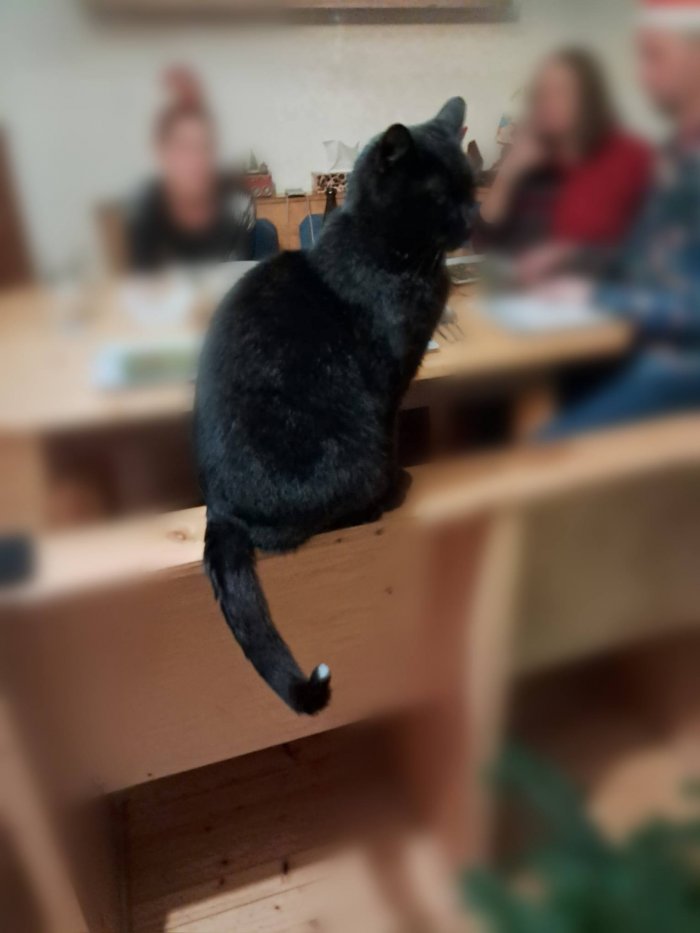 Pinsel 260205-075139