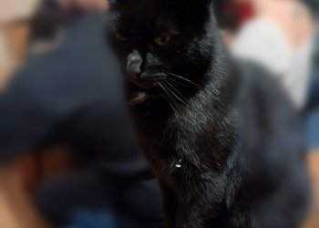 Pinsel 260205-075139