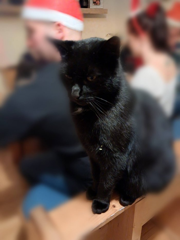 Pinsel 260205-075139