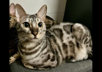 Pixel 250424-104910