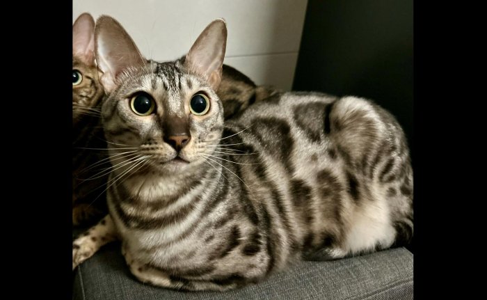 Pixel 250424-104910