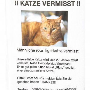 Pluto  260124-104409