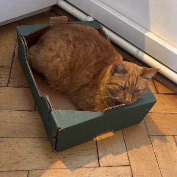 Pluto  260124-104409