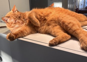 Pluto  260124-104409