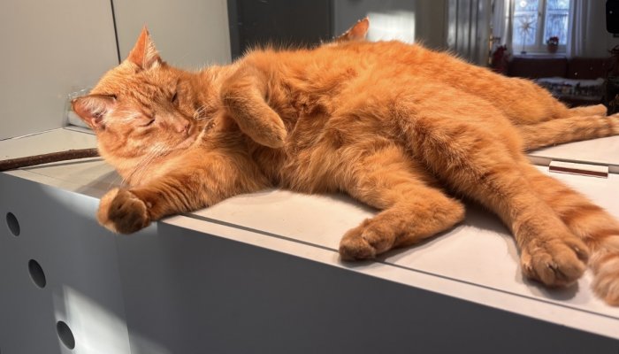 Pluto  260124-104409