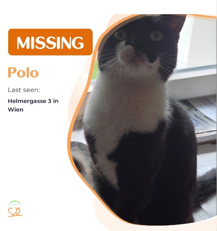 Polo 250603-062850