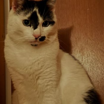 Pünktchen 251224-214006