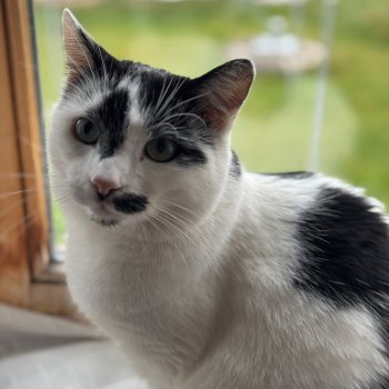 Pünktchen 251224-214006