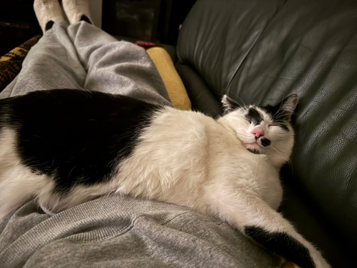 Pünktchen 251224-214006