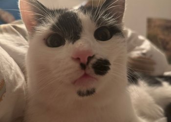 Pünktchen 251224-214006