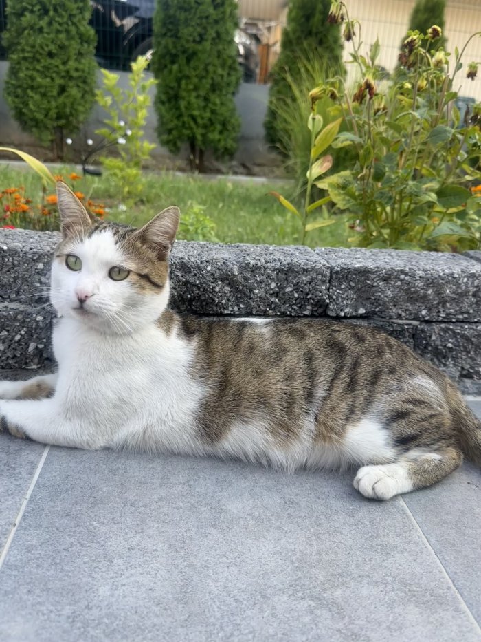 Pulina 250817-213928