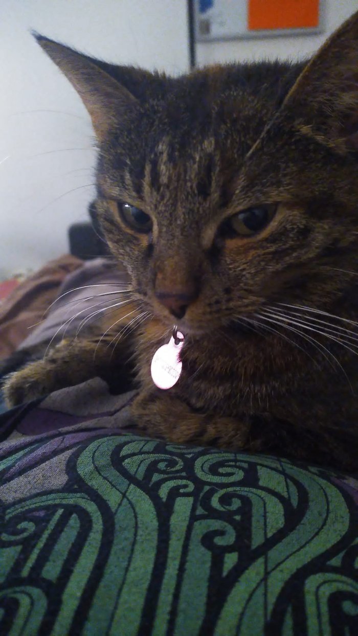 Pumpkin  250807-115849