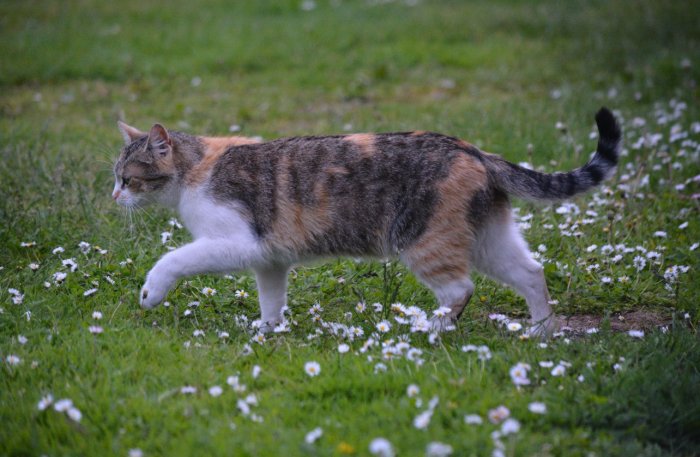 Puppe 250511-201238