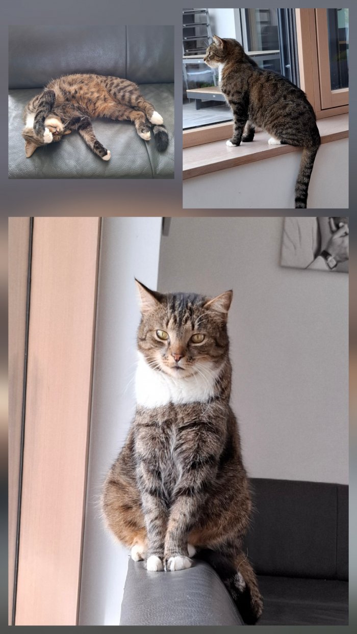 ROCKY 250704-095403