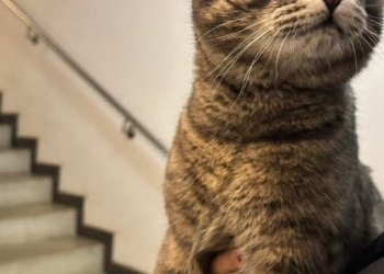 Ronaldo 260201-155515