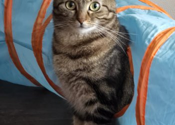 Ronja 250627-125022