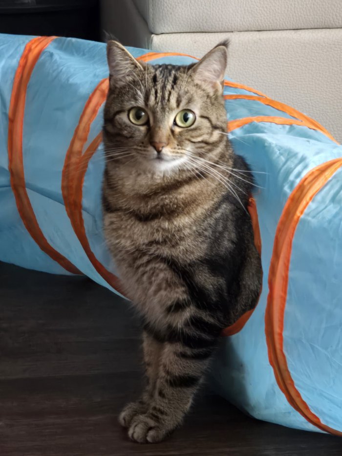Ronja 250627-125022