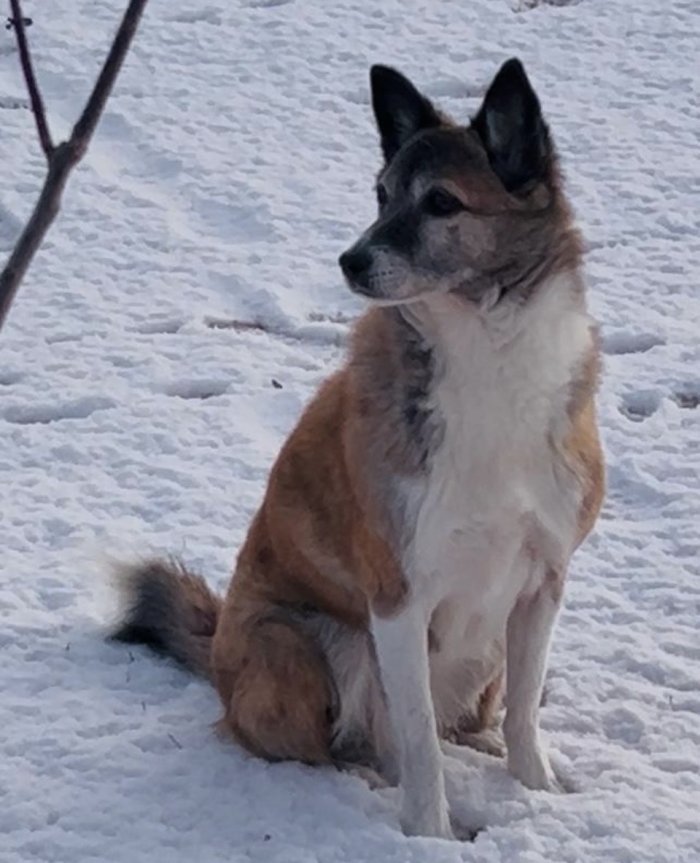 Ronja 260419-211302