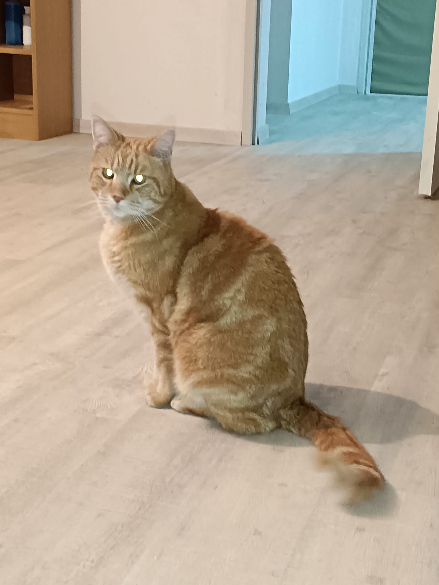 Rozsdi 260127-142444