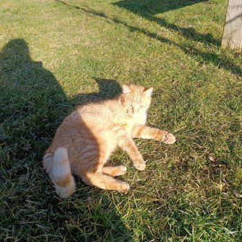 Rupert  250614-105341