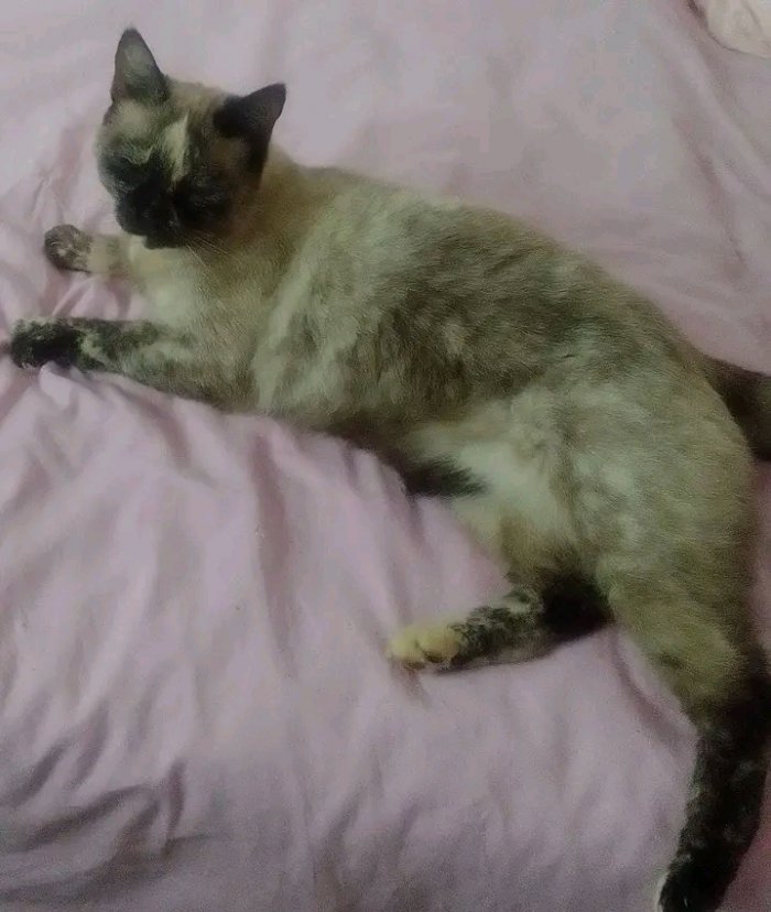 SHELLY 250909-220257