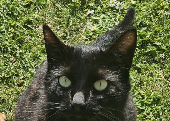 Salem 250830-184459