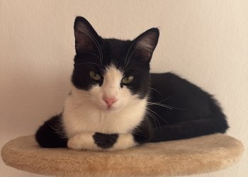 Sammy 250929-210321