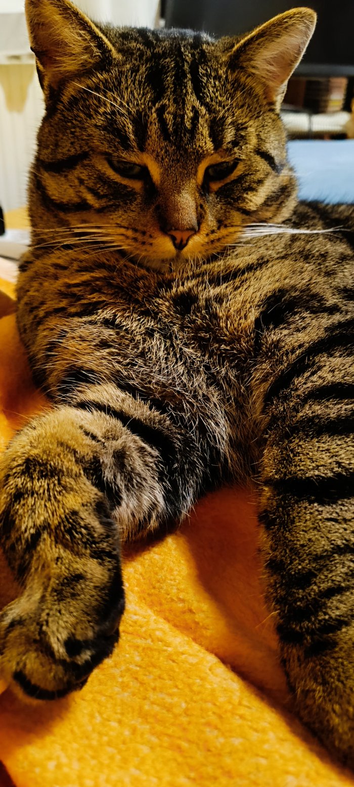 Samson 260217-165801