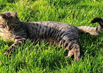 Samson 260217-165801