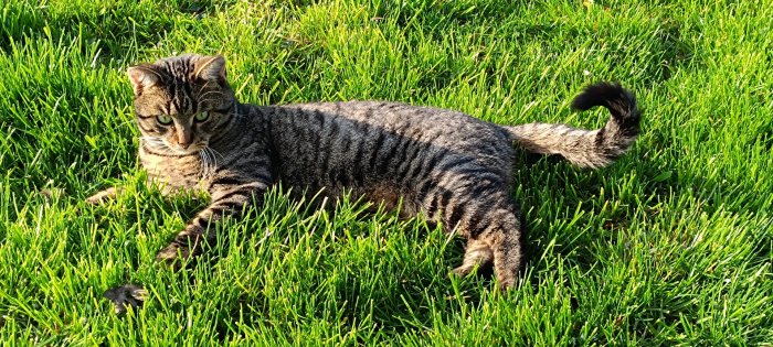 Samson 260217-165801